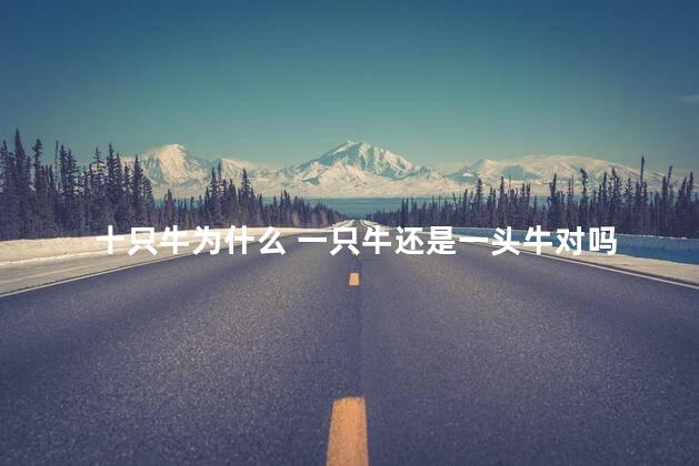 十只牛为什么 一只牛还是一头牛对吗